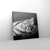 Bild auf Leinwand - Leinwandbild - Einteilig - Weiß Tiger Produktbild-Vorschau 4