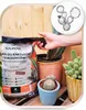 Blumenerde für Kakteen und Sukkulenten 5l - Optimale Produktbild-Vorschau 6
