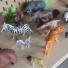 Woopie Zestaw figurek zwierząt Xxl 58 szt. Podgląd zdjęcia produktu 30