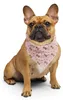 Mr. & Mrs. Panda Bandana Hund Blume S - Rosa - Geschenk, Produktbild-Vorschau 5