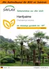 SAFLAX - Garden in the Bag - Hanfpalme - 10 Samen - Mit Produktbild-Vorschau 1