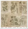 Scrapbooking-Papier Set 30×30 cm – SLS-049 Herbarium 2 – Produktbild-Vorschau 7