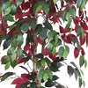 Roter Ficus Benjamin Birkenfeige Kunstpflanze Kunstbaum Produktbild-Vorschau 2