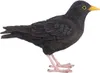 Oiseau décoratif d'extérieur en polyrésine Merle Voir les images du produit 14