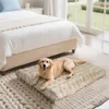 A golden retriever dog is lying on a plush dog bed placed on a rug next to a bed in a bedroom. Anteprima dell’immagine prodotto