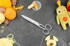 3 Claveles 117 – Nástroj na strihanie pre ľavákov, 15,24 cm Náhľad obrázku produktu 3