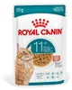 Royal Canin Ageing 11+ Nassfutter 24x85g Stückchen in Soße Produktbild-Vorschau 4