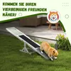 PawHut Hundewippe Hunde Agility Wippe Holz Welpenspielzeug Produktbild-Vorschau 6