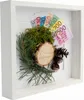 A framed shadow box with decorative elements and euro banknotes. Náhled obrázku produktu