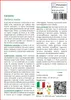 SAFLAX  - Cerastio - 1000 semi - Con substrato - Stellaria Anteprima dell’immagine prodotto 3
