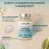 Aavalabs Collagene marino | Tipo I e acido ialuronico | Anteprima dell’immagine prodotto 5