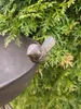 Gartenstecker Schale mit Ranke, dunkelbraun Produktbild-Vorschau 5