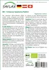 SAFLAX - Bio - Czarna Rzodkiew - 100 Nasiona - Raphanus Podgląd zdjęcia produktu 12
