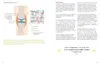 Arthrose endlich heilen Produktbild-Vorschau 7