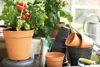 elho green basics Anzuchttopf 24cm - mild tonrot Produktbild-Vorschau 9