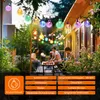 People enjoying a backyard gathering illuminated by colorful string lights. Produktbild-Vorschau