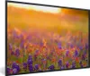 MuchoWow® MuchoWow® Gerahmtes Poster Blumen - Gold - Sonne Produktbild-Vorschau 1