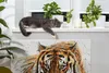 Tiger – Magnetische Heizkörperabdeckung – 80x60 cm – Magnet Produktbild-Vorschau 3