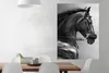 MuchoWow® Poster Pferde - Schwarz - Porträt - Tiere 90x120 Produktbild-Vorschau 2