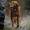 Ruffwear La luce di sicurezza Beacon Clear Lake Anteprima dell’immagine prodotto 12