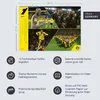 BVB Edition Kalender 2027 Produktbild-Vorschau 7