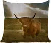 MuchoWow® Outdoor Kissen - Schottisches Hochlandrind - Produktbild-Vorschau 6