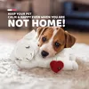 Pecora AFP Little Buddy Heart Beat Anteprima dell’immagine prodotto 9