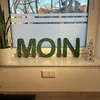 Islandmoos – Set MOIN Grasgrün Produktbild-Vorschau 3