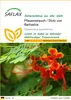 SAFLAX - Pfauenstrauch / Stolz von Barbados - Caesalpinia Produktbild-Vorschau 1