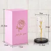 Montessa Ewige Rose im Glas mit LED-Licht, "Die Schöne und Produktbild-Vorschau 4