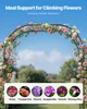Arche de jardin VEVOR, 2400 x 1500 x 400 mm, arche pour Voir les images du produit 2