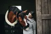 Kentucky Horsewear Show Rug  160g, Größe:155, Farbe:schwarz Produktbild-Vorschau 8