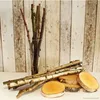 Ramoscelli decorativi di betulla lunghezza 50 cm set da 6 Anteprima dell’immagine prodotto 4
