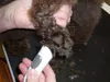 Aesculap Hunde Schermaschine Exacta Akku Trimmer Produktbild-Vorschau 14