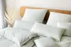 elegante Mako-Satin-Bettwäsche-Garnitur Muriel Farbe Produktbild-Vorschau 4