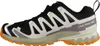 Salomon XA PRO 3D V9 GTX grau Walkingschuh Mehrfarbig in Produktbild-Vorschau 15