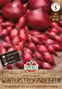 Artikelbild 1 von 'Rote Wintersteckzwiebel Akado (50 Stück)' aus der Kategorie Wintersteckzwiebeln Produktbild-Vorschau
