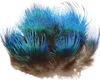 Piume di pavone vere, 5-8cm blu verde, materiale per Anteprima dell’immagine prodotto 2