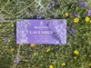Bronnley Seife Lavender 3 x 100g Produktbild-Vorschau 2