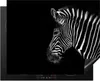 KitchenYeah© Herdabdeckplatte Zebra - Wilde Tiere - Schwarz Produktbild-Vorschau 1