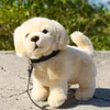 RAPPA Peluche cane golden retriever in piedi con guinzaglio Anteprima dell’immagine prodotto 5