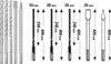 Einhell Accessoires pour marteaux perforateurs 5 Jeu de Voir les images du produit 2