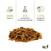 UGF Insektenmischung 500g (3L) Igelfutter, Rennmausfutter, Produktbild-Vorschau 4