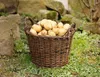 Mand van natuurlijk riet met handgrepen, diameter 35 x 24 Productafbeelding-voorbeeld 5