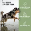 Grünlippmuschel Kapseln 300Stk Produktbild-Vorschau 2