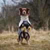 Non-stop dogwear Regenmantel Fjord raincoat 2.0 grau, Produktbild-Vorschau 9