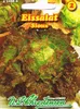 [STREICHUNG 2026] Eissalat Sioux | Eissalatsamen von N.L. Produktbild-Vorschau 3