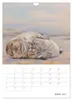 Malerisches Skagen (Wandkalender 2027 DIN A4 hoch), Produktbild-Vorschau 9