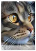 Katzen (Wandkalender 2027 DIN A3 hoch), CALVENDO Produktbild-Vorschau 8