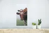 MuchoWow® Poster Kühe - Braun - Nebel 20x40 cm - Plakat - Produktbild-Vorschau 5